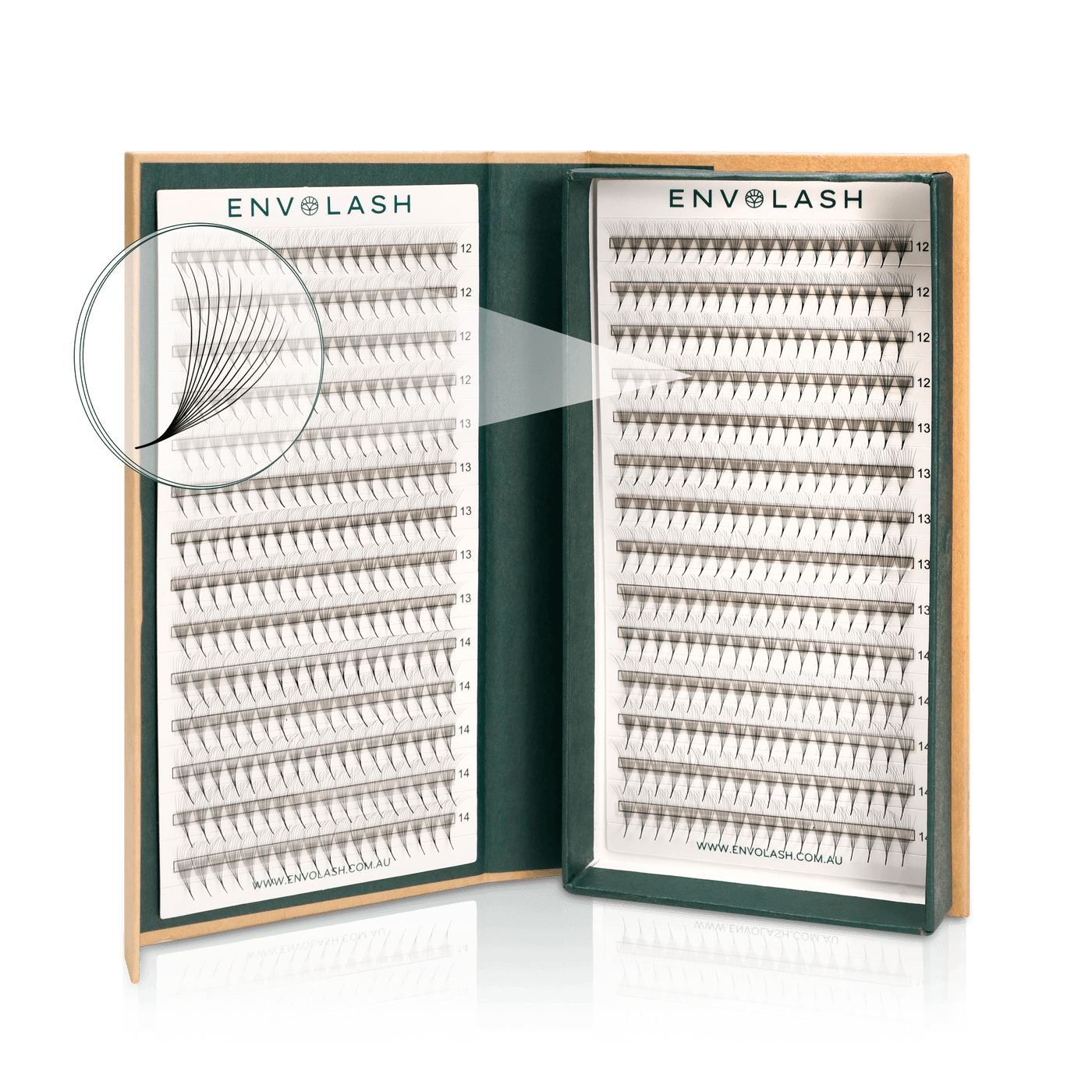 12D ProMade Lash  Fans - Mix Length - 0.07 – Envolash