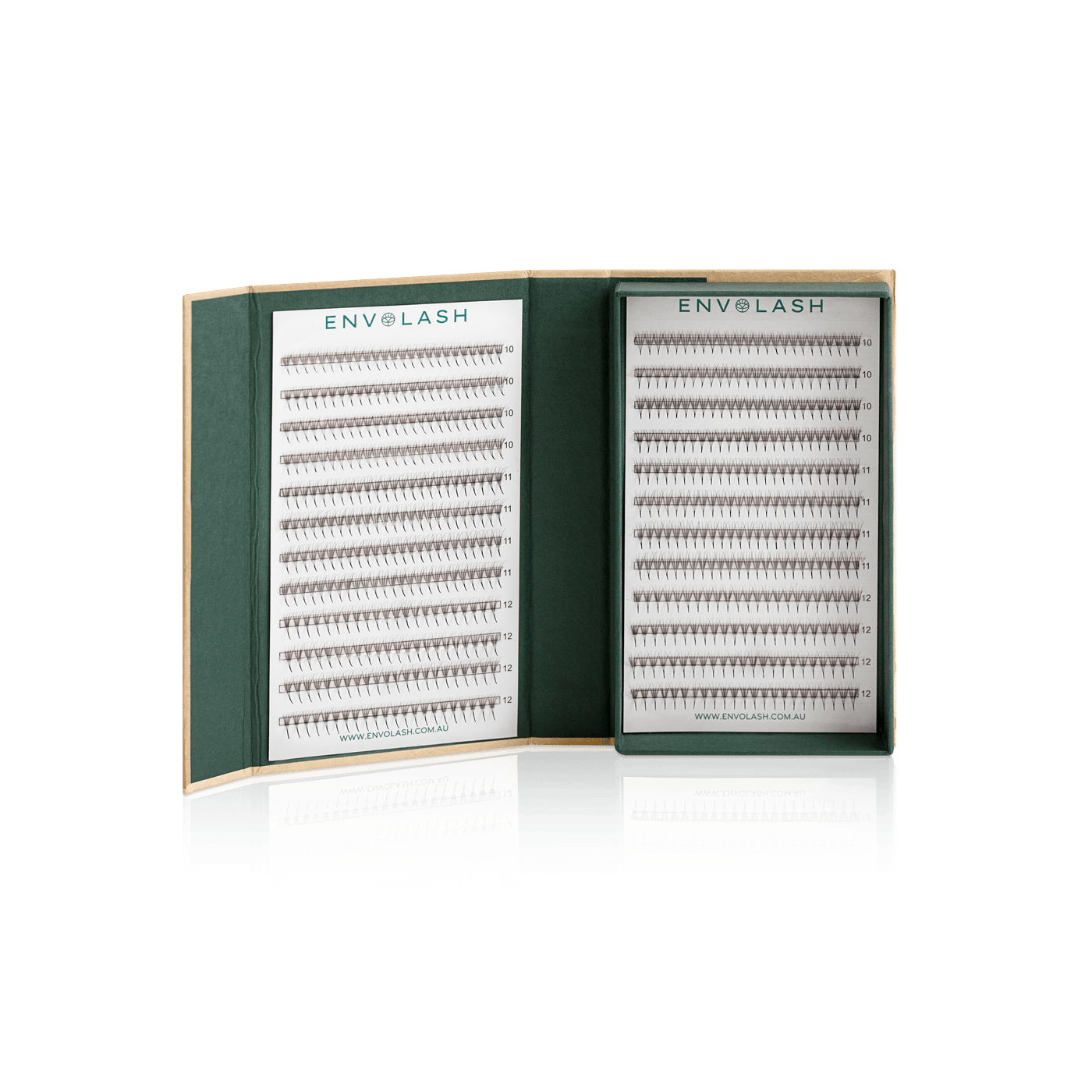 4D promade lash fans by Envolash