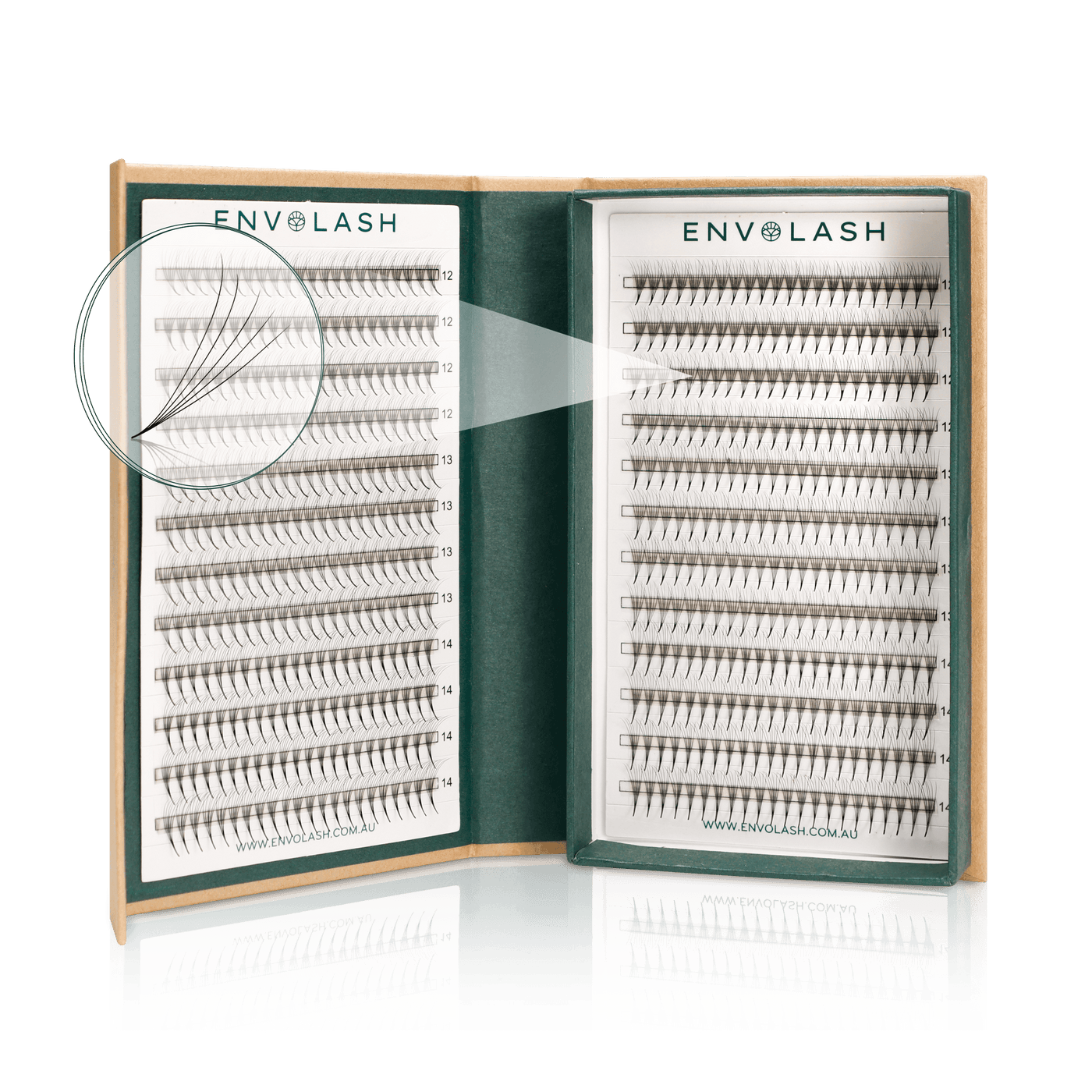 5D promde lash fans by Envolash