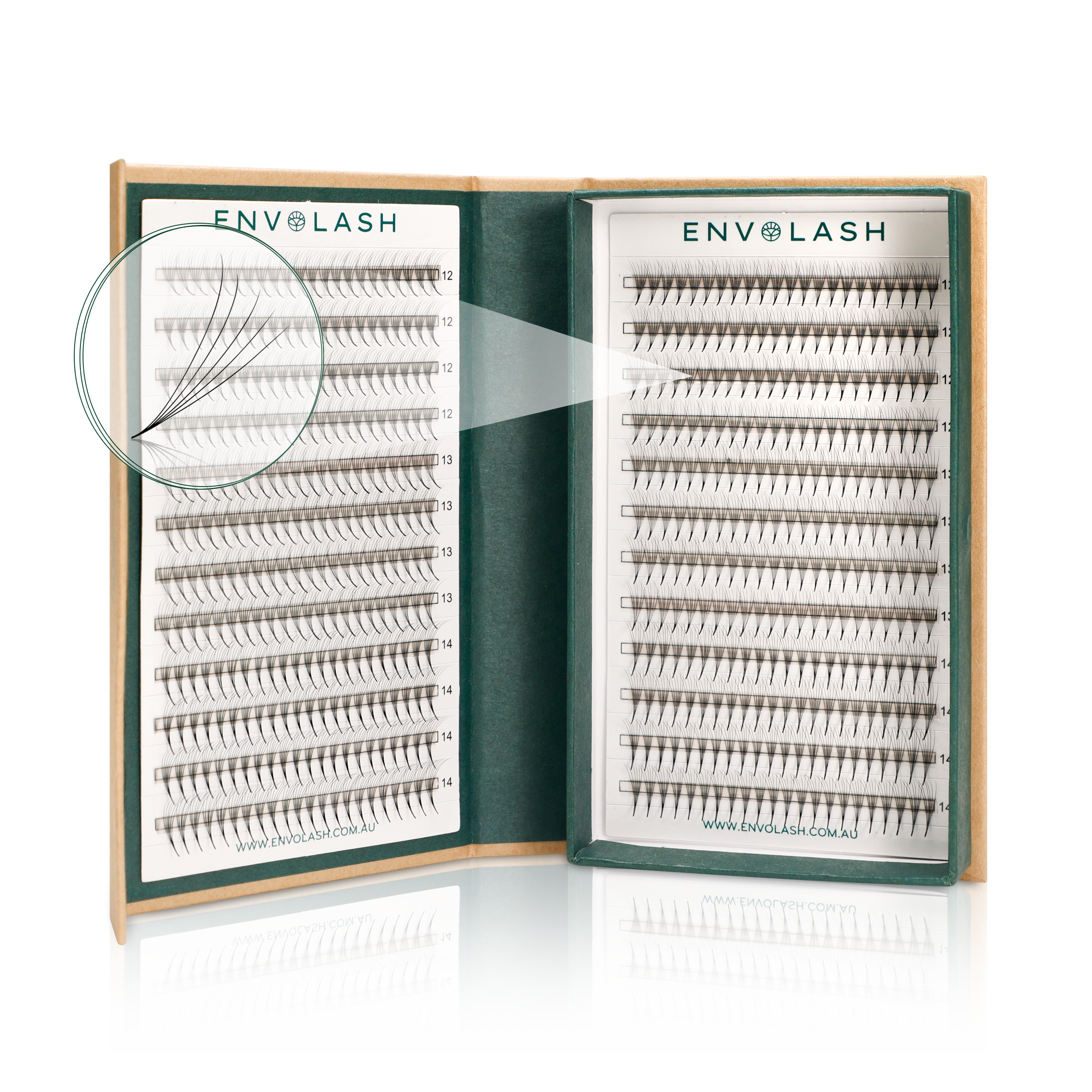 The Bold Collection: 5D ProMade Lash Fans - Single Length - 0.07 – Envolash