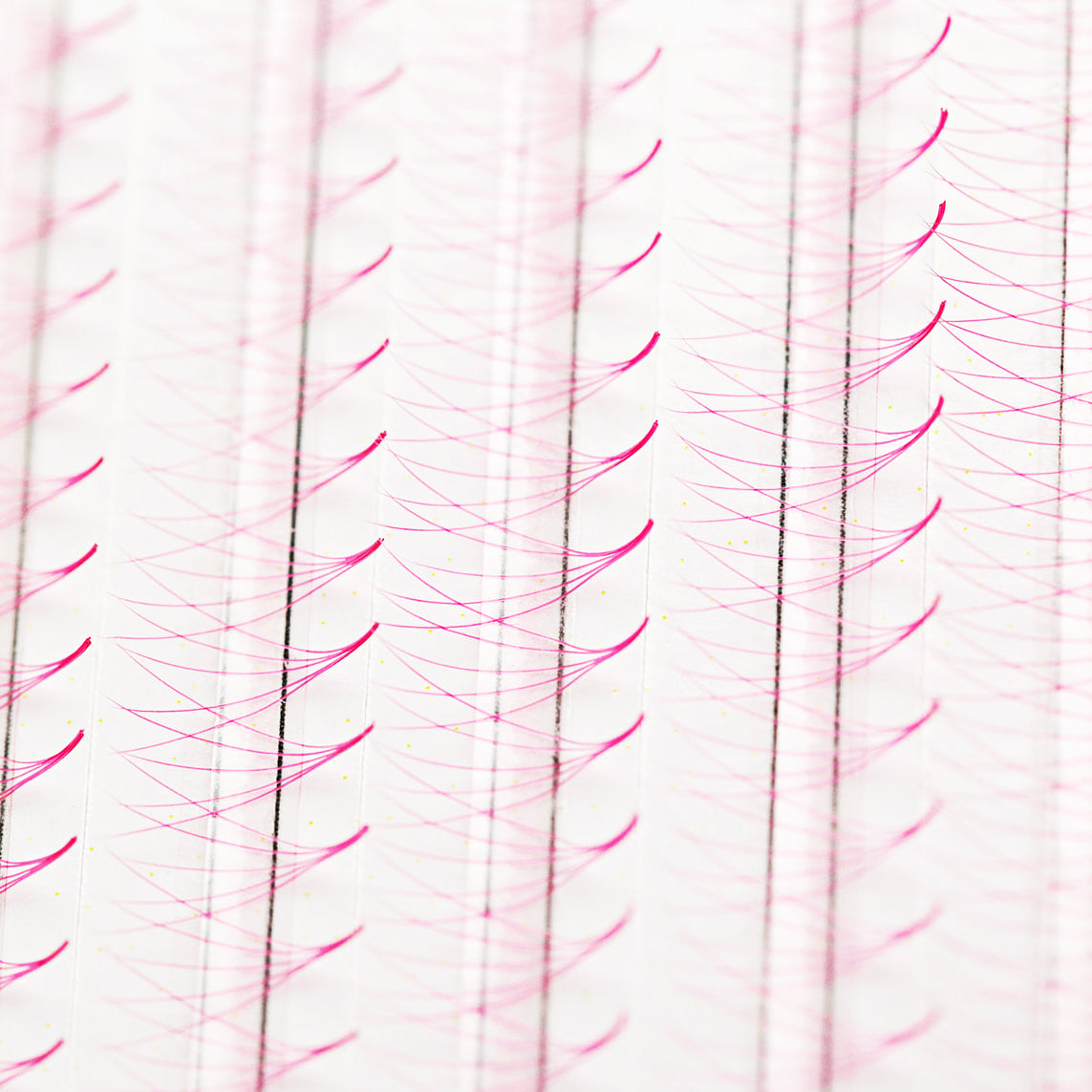 The Bold Collection: Pink 5D ProMade  Fans - Mix Length - 0.07
