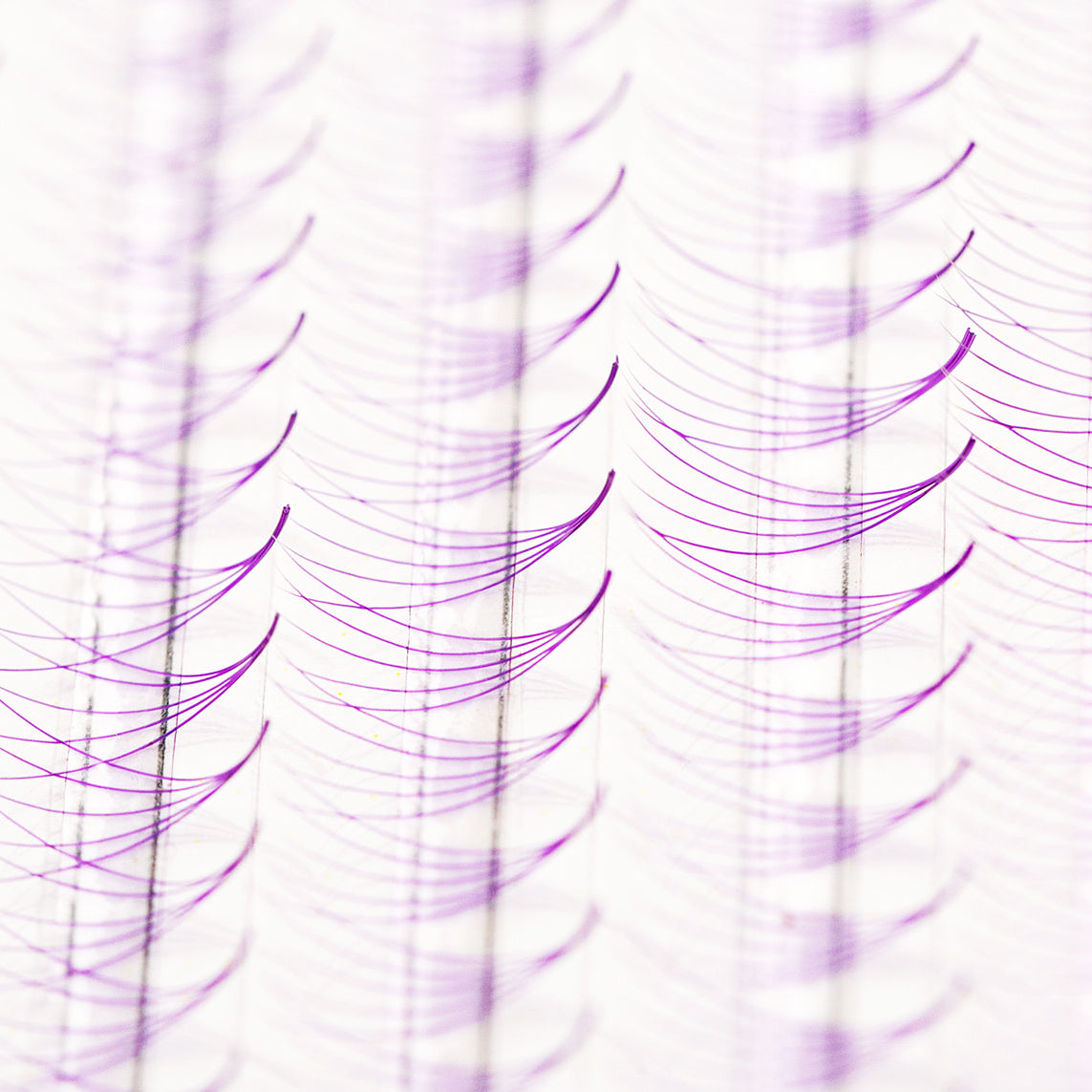 The Bold Collection: Purple 5D ProMade  Fans - Mix Length - 0.07