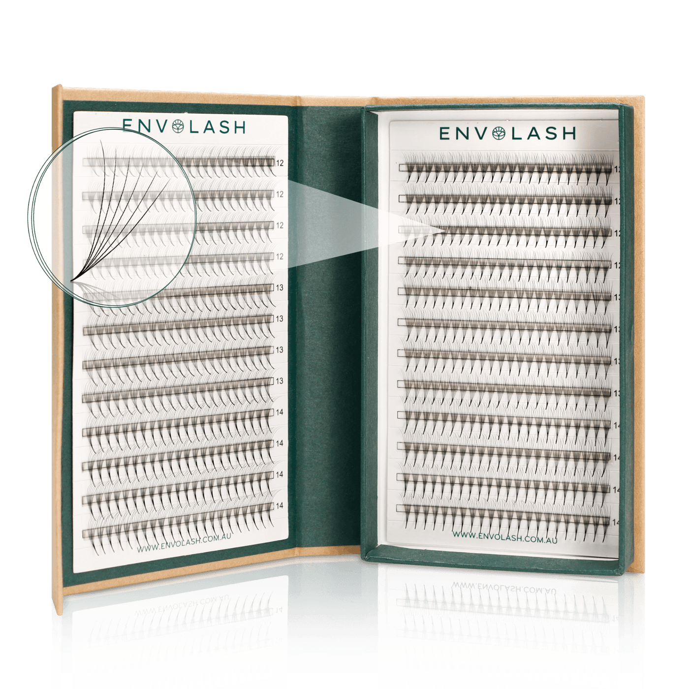  6D promade lash fans by Envolash